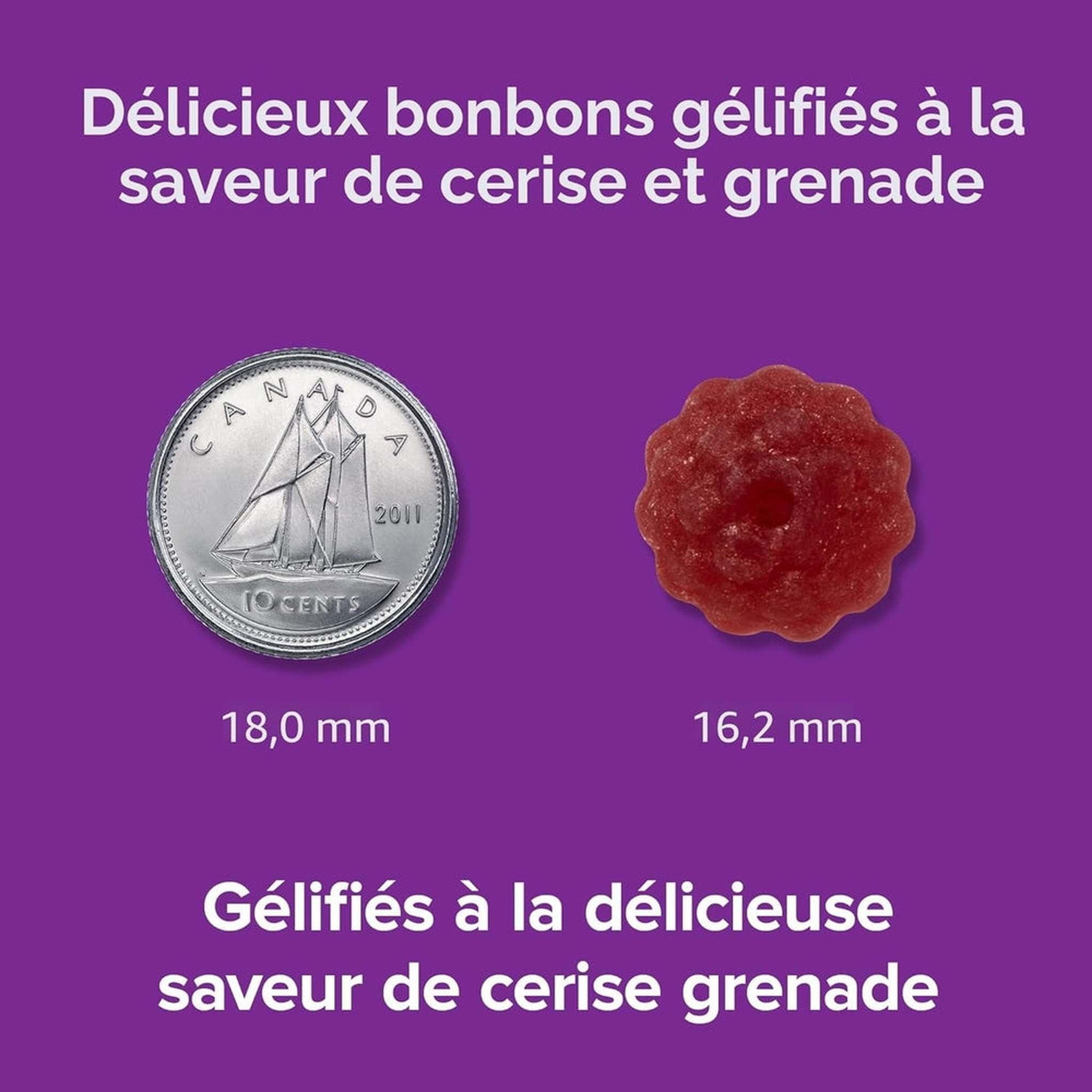 Webber Naturals Mélatonine 10mg Gummy – Cerise & Grenade – 100 Gommes