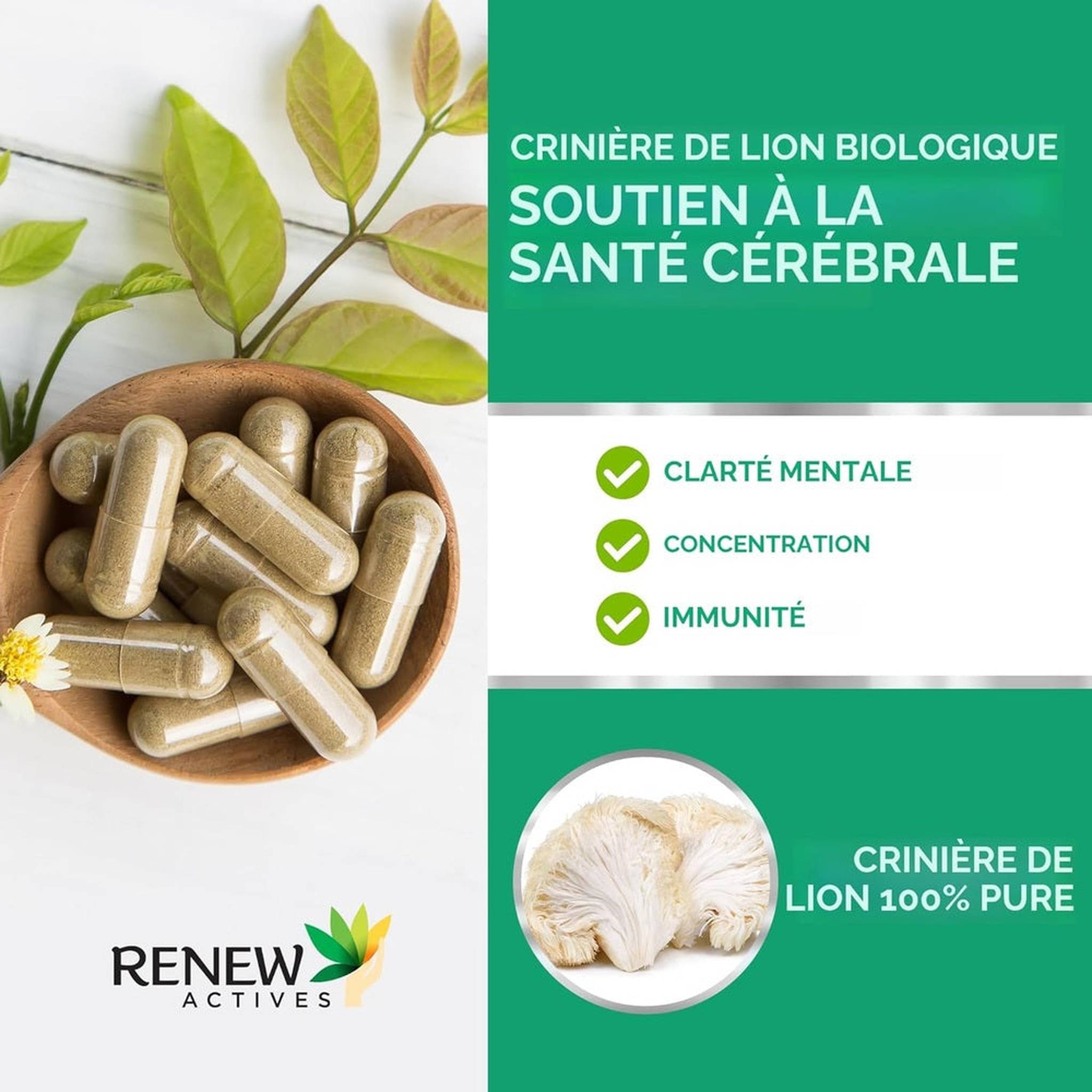 RENEW ACTIVES Crinière de Lion Biologique 11 000mg – 120 Capsules