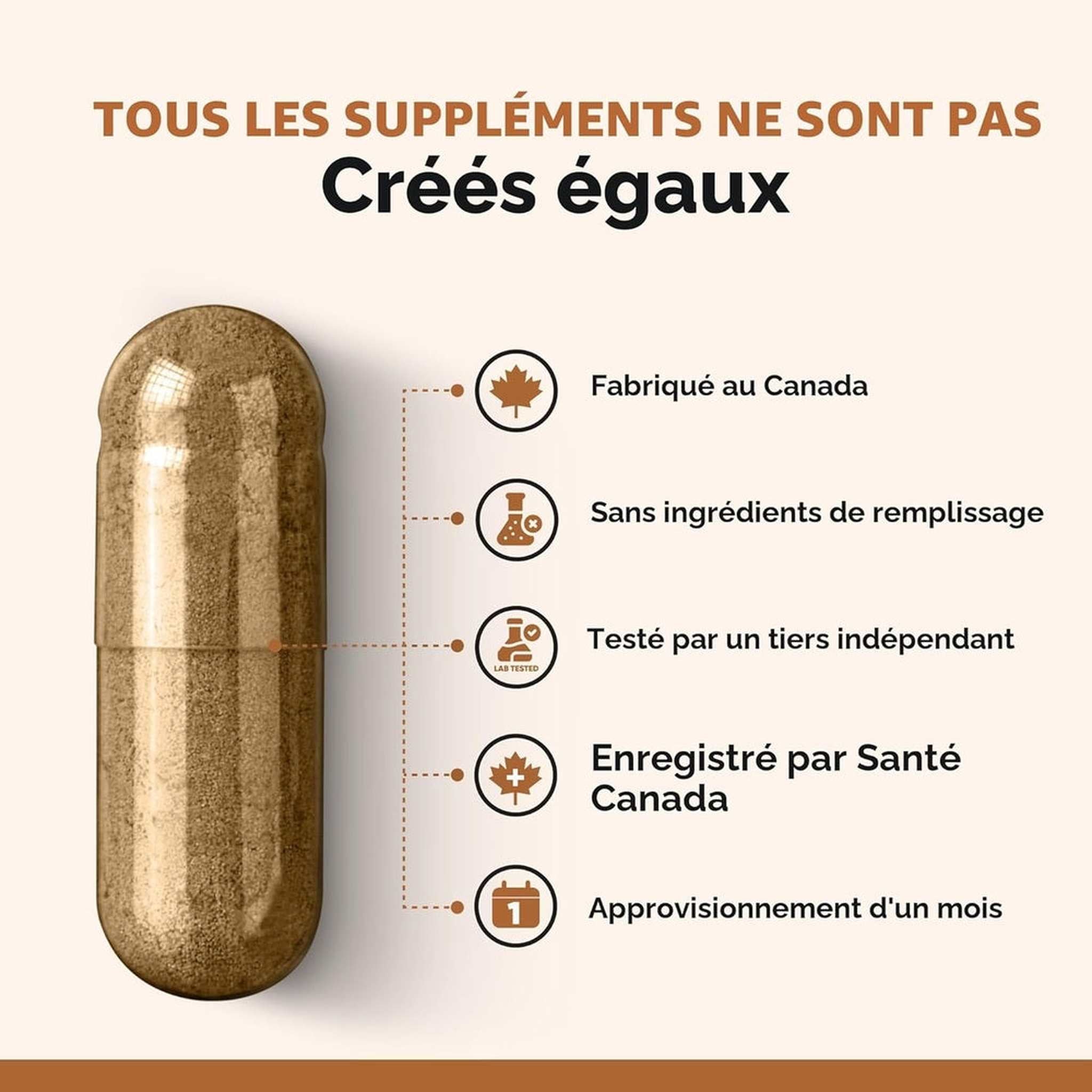 Maca pour Homme avec Fenugreek – 60 Capsules