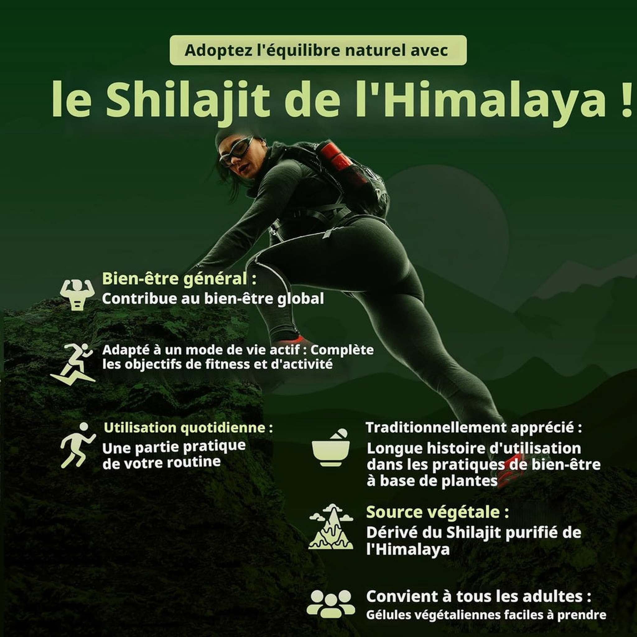 Opti Health Shilajit Himalayen Pur 500mg – 50% Acide Fulvique – 60 Capsules