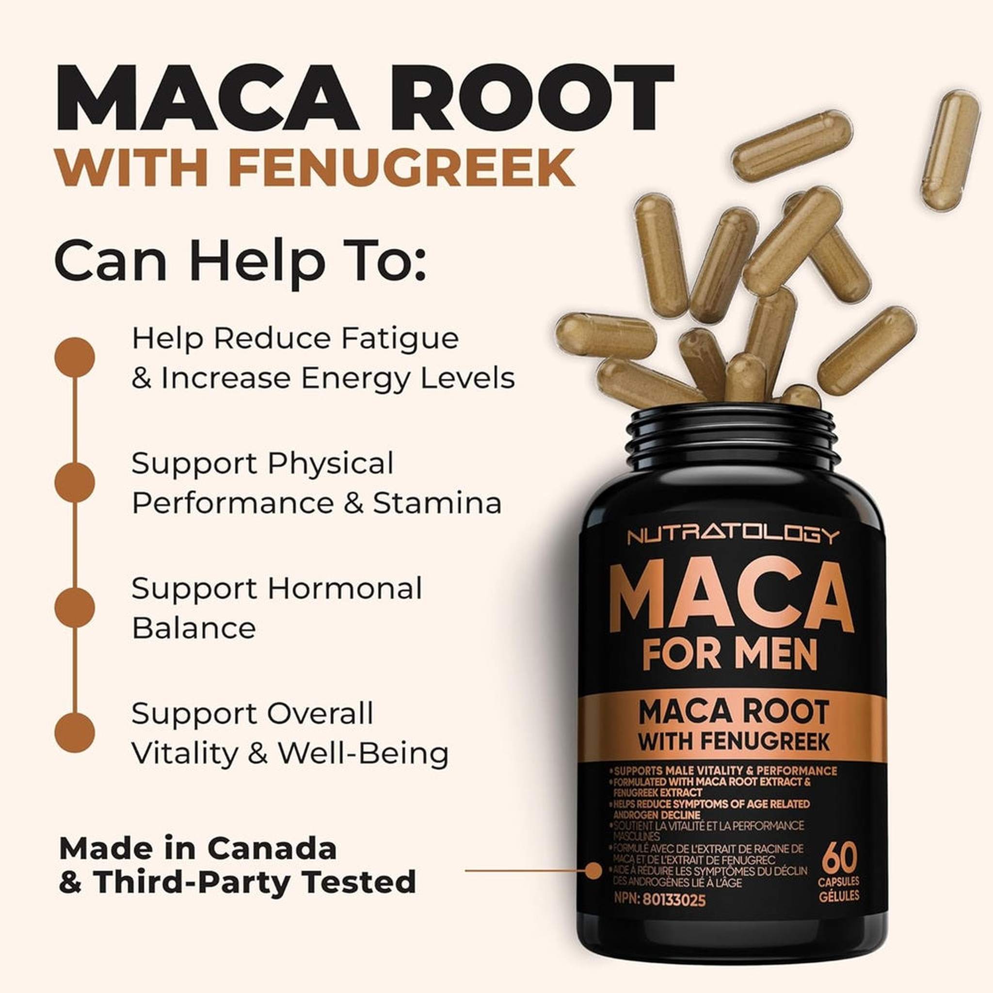 Maca pour Homme avec Fenugreek – 60 Capsules