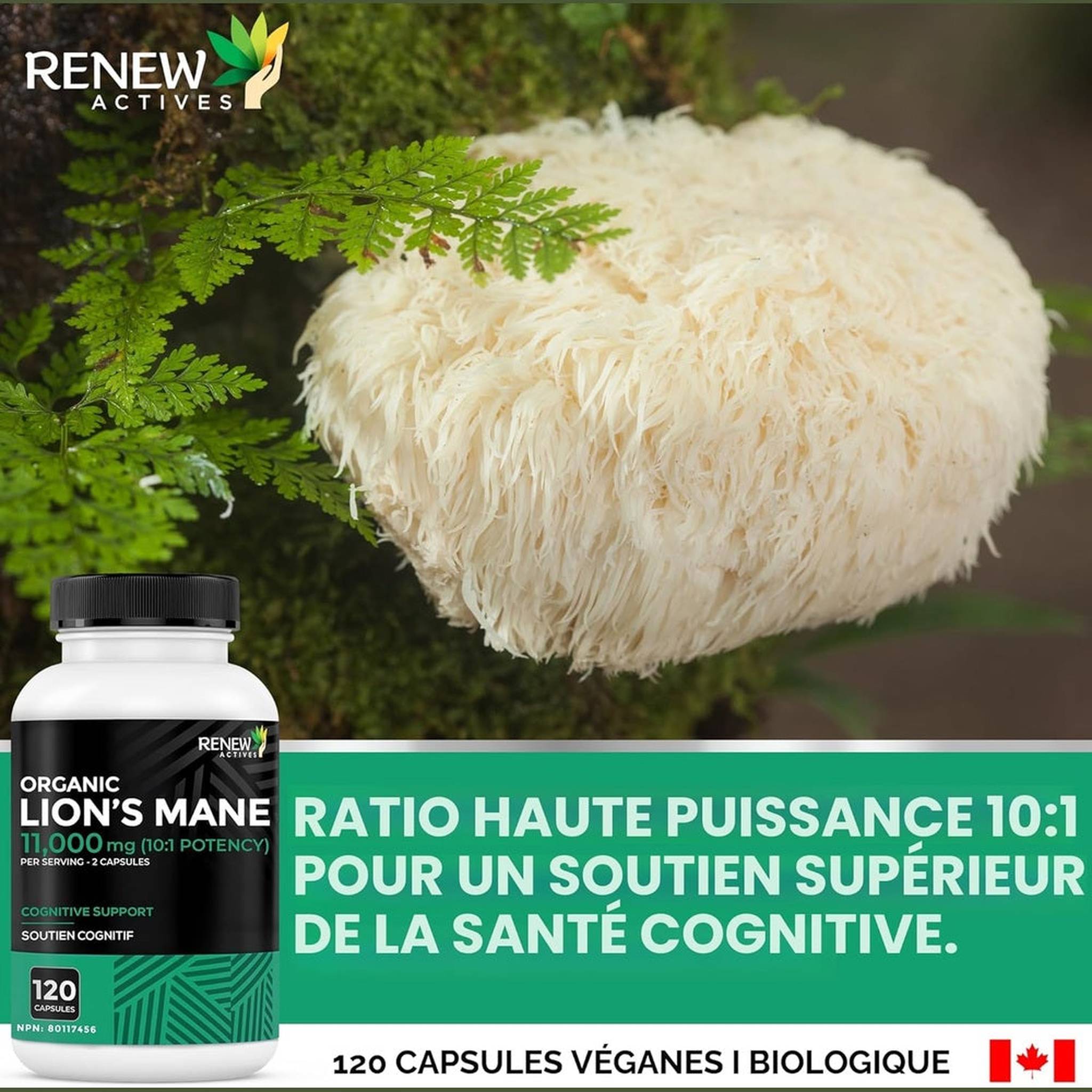 RENEW ACTIVES Crinière de Lion Biologique 11 000mg – 120 Capsules