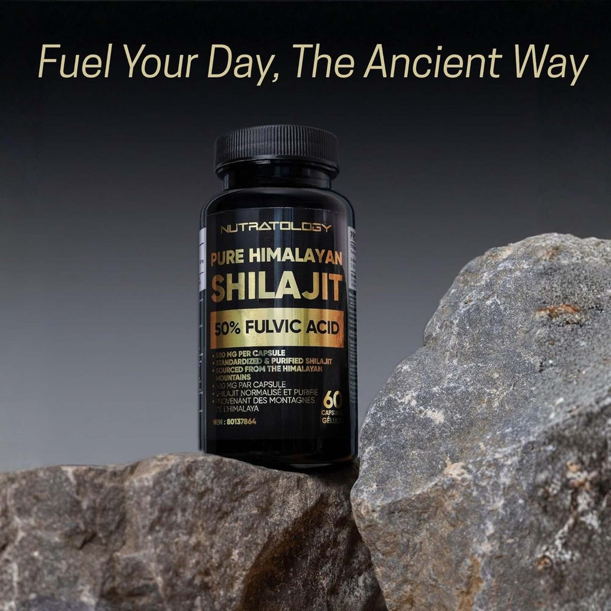 Nutratology® Pure Shilajit Himalayen 500mg – 50% Acide Fulvique – 60 Capsules