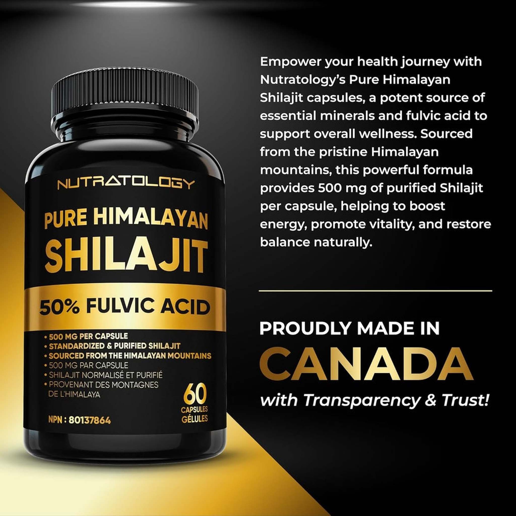 Nutratology® Pure Shilajit Himalayen 500mg – 50% Acide Fulvique – 60 Capsules